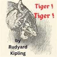 Tiger___Tiger__